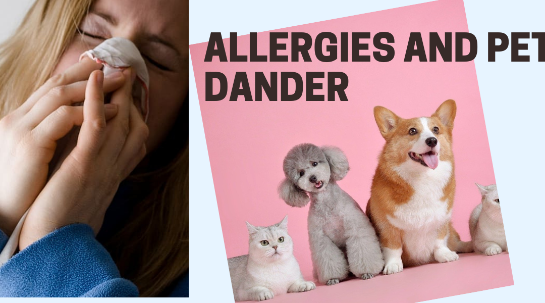 Springtime Allergies and Pet Dander Can Make Matters Worse!