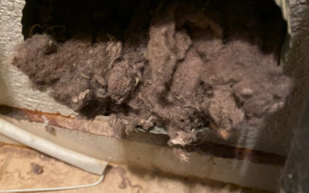 Top Reasons To Not Avoid Dryer Duct Cleaning