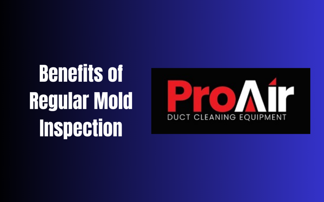 Benefits of Regular Mold Inspection