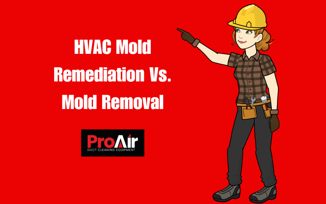 HVAC Mold Remediation Vs. Mold Removal