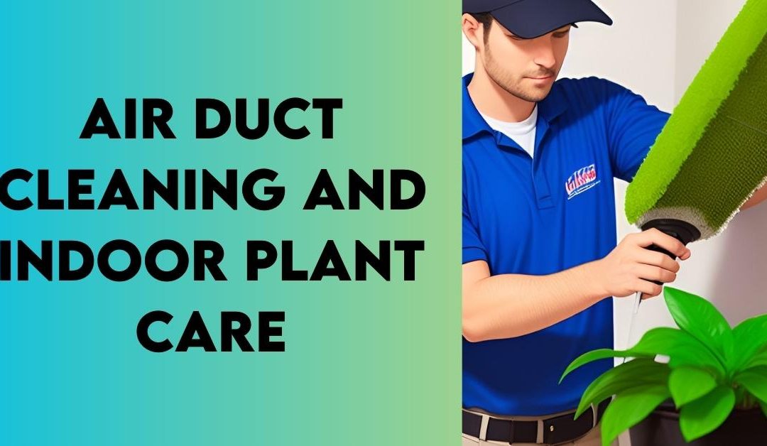 Air Duct Cleaning and Indoor Plant Care