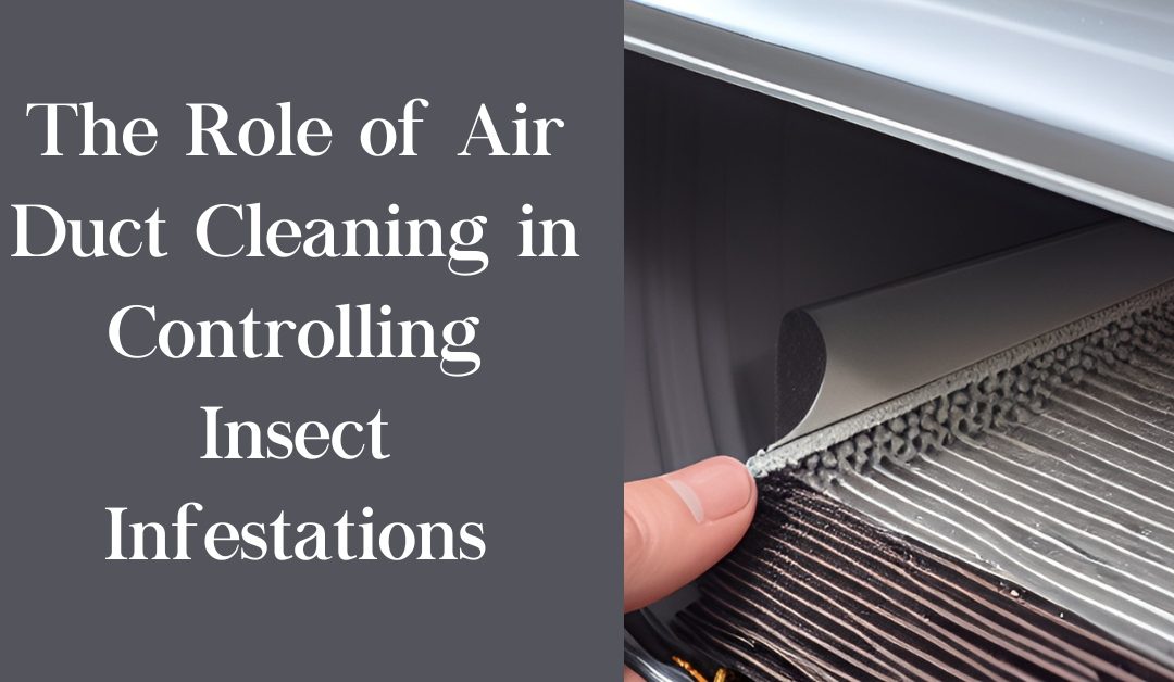 The Role of Air Duct Cleaning in Controlling Insect Infestations