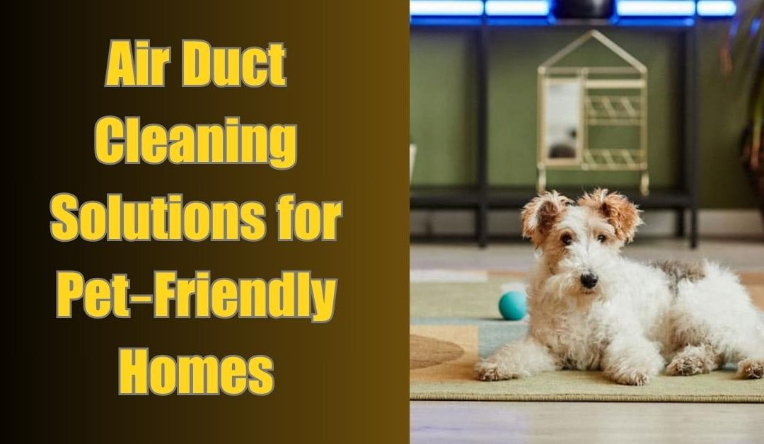 Air Duct Cleaning Solutions for Pet-Friendly Homes